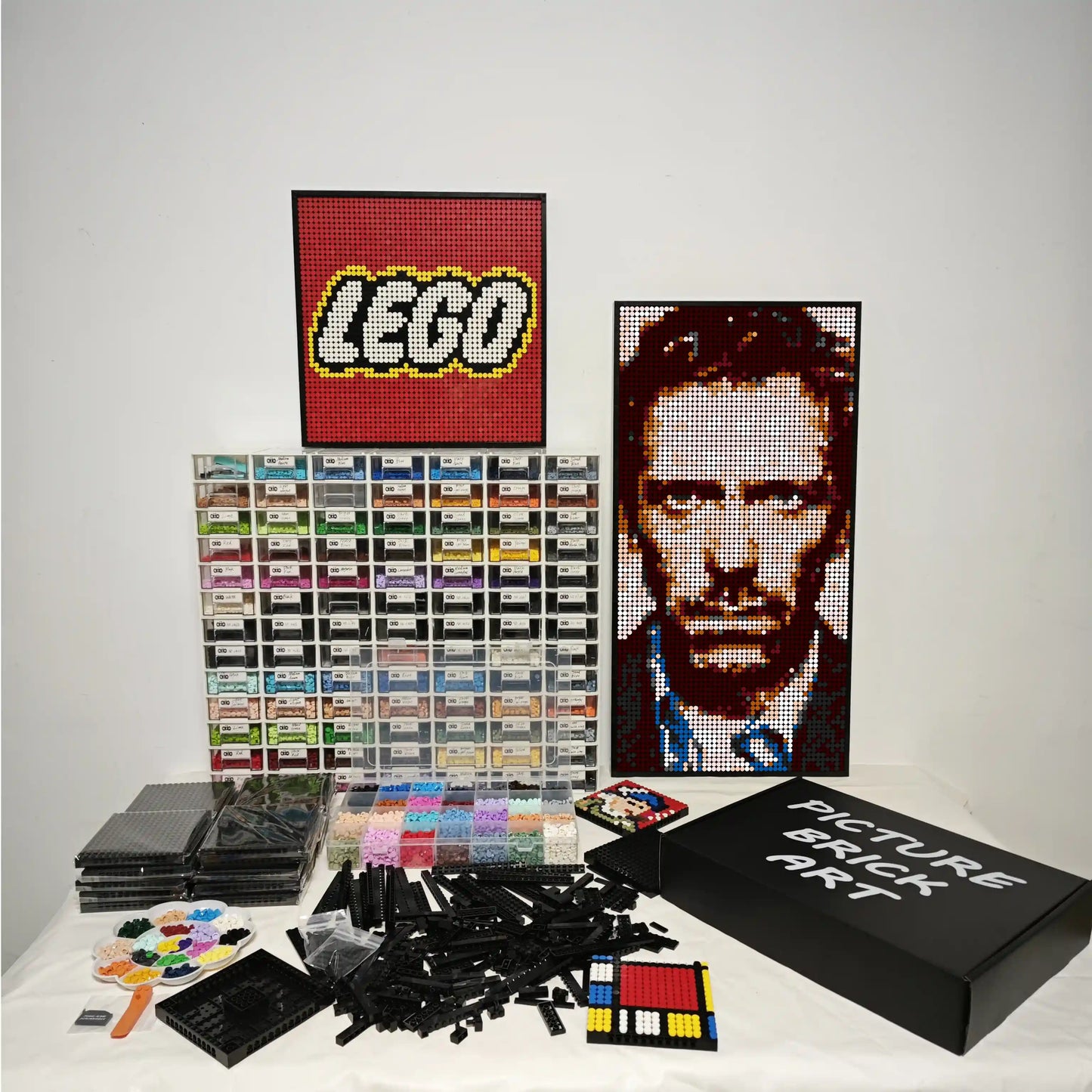 LEGO Mosaic Wall Art-Dr House Pixel art-48x96